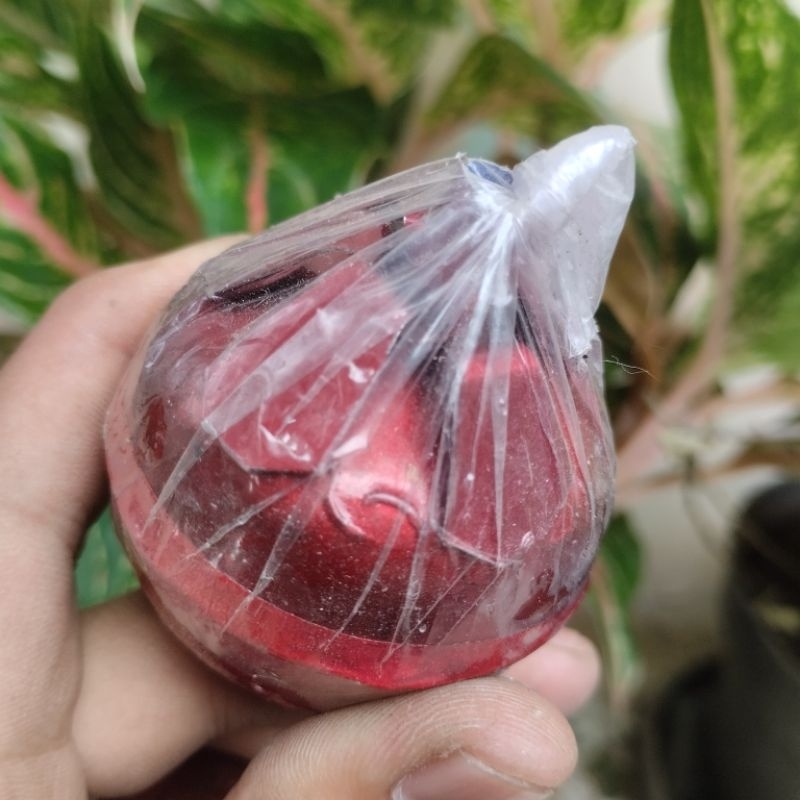buhur apel jin drat asli arab