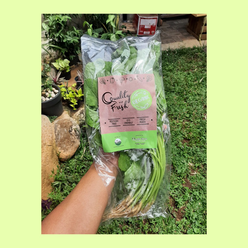 

Daun bayam organik / spinach organik