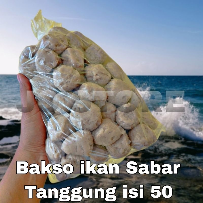 Jual Bakso Ikan Sabar Bakso Urat Ukuran Tanggung 100 Asli