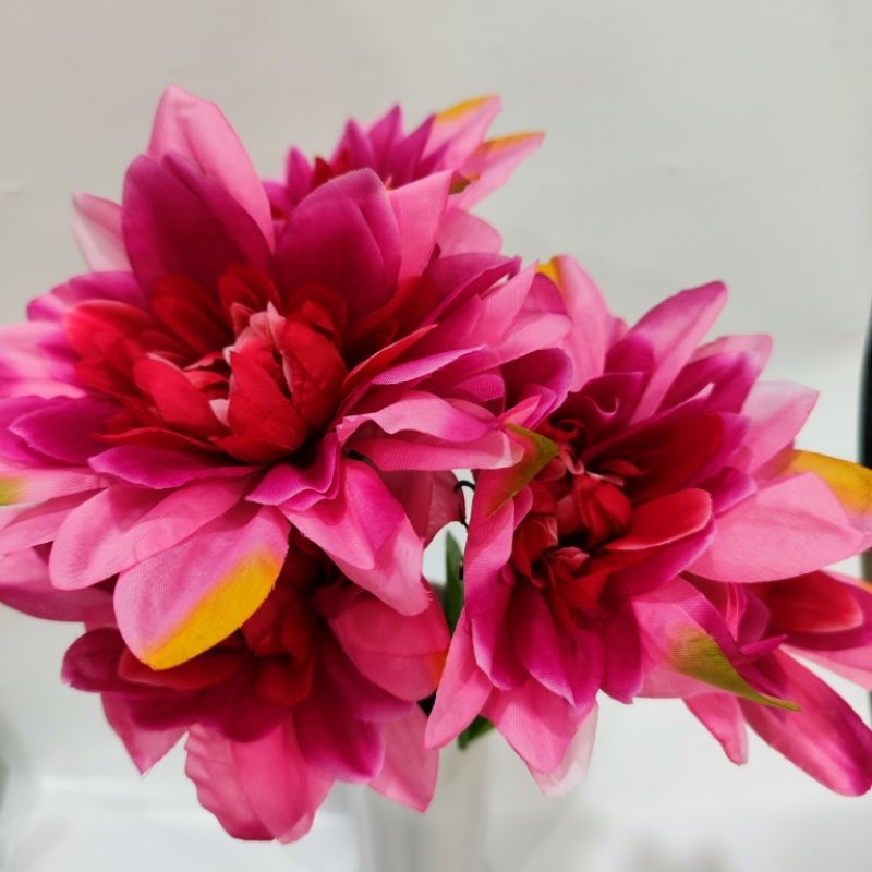 Jual Bunga Gerbera Jumbo X5 Dekorasi | Shopee Indonesia