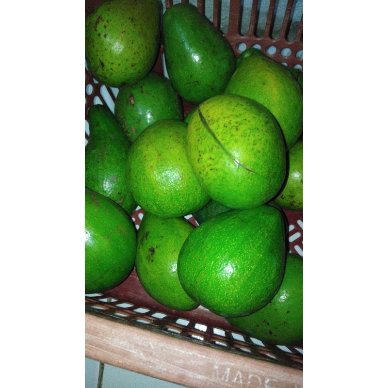 

Alpukat mentega asli Ranau,Pulen NO serat