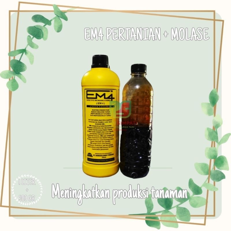 EM4 Pertanian Dan Molase Nutrisi Untuk Tanaman