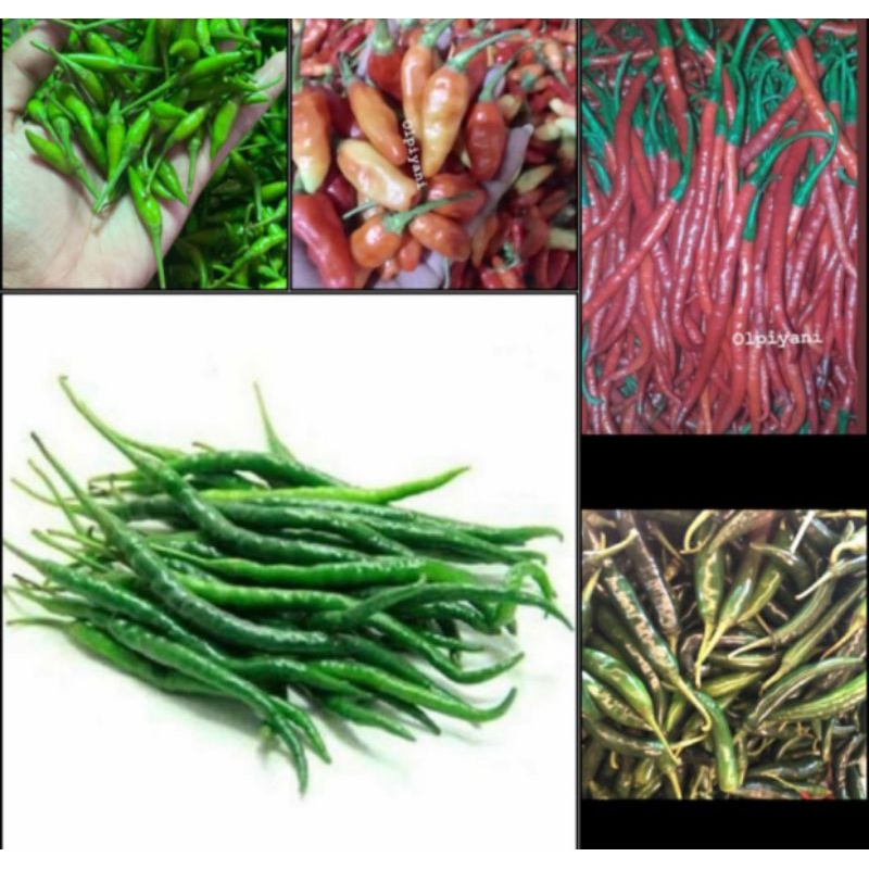 

Aneka Cabe 100gram