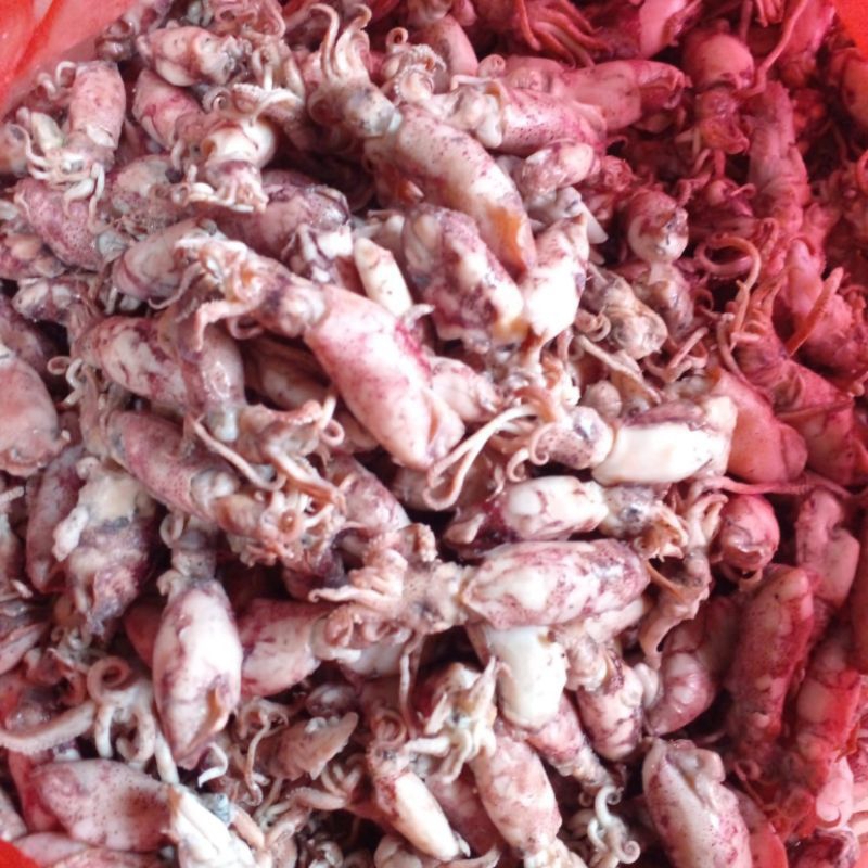 

ikan asin baby cumi/ cumi asin/ cumi rebus/ (fresh) berat 1kg