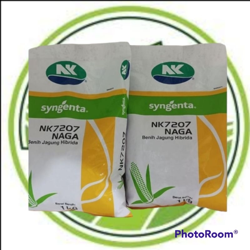 Benih jagung NK naga 7207