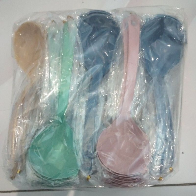 souvenir centong sayur