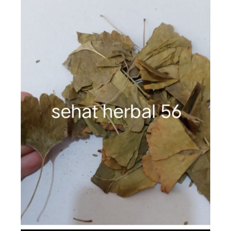 50 gram Obat Herbal Ginkgo Leaf Super Ginkgo Biloba Ginko