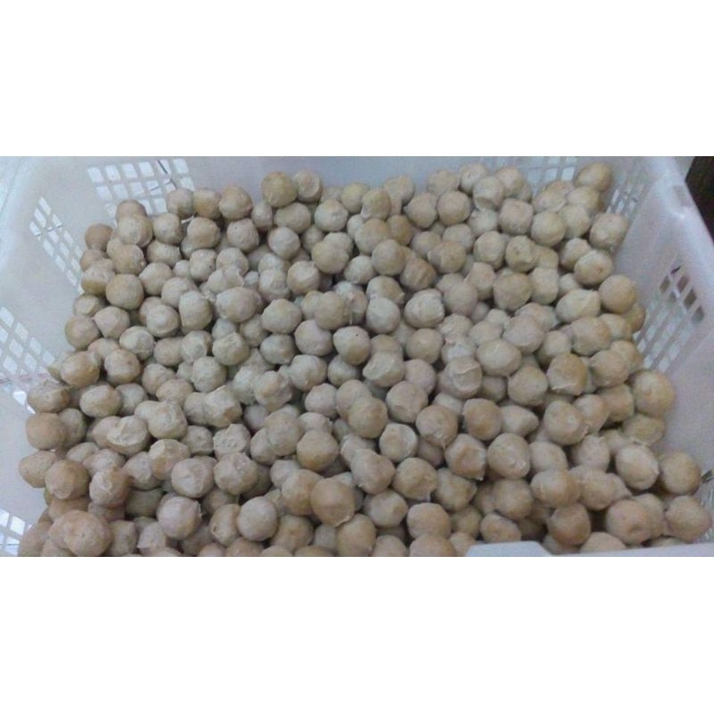 

Baso Sapi minimum order 10 pcs