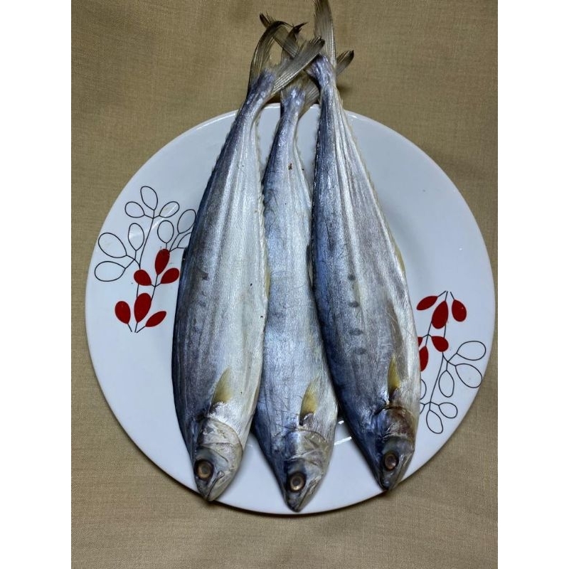 

Wais Jumbo Satuan SERBA 5RB