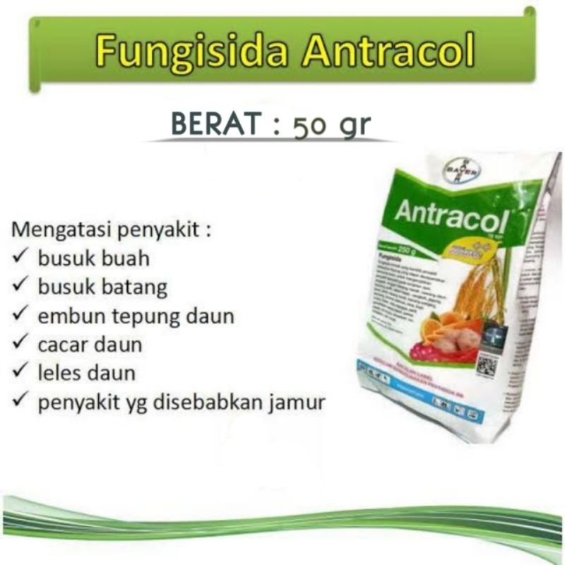 Fungisida Antracol Obat Anti Jamur Pada Tanaman - Antracol Fungisida Anti Jamur