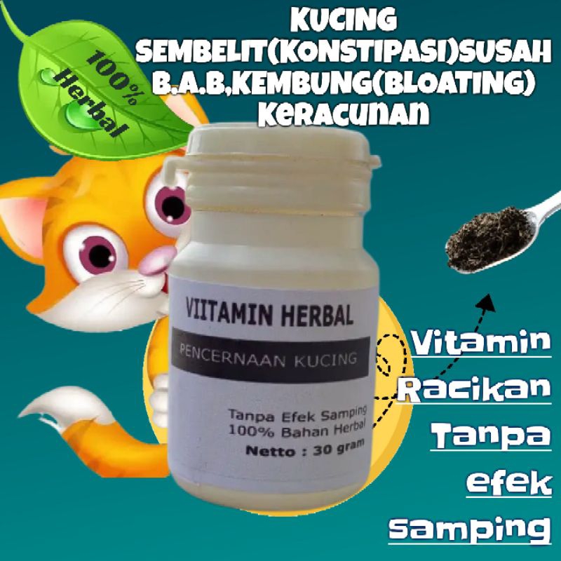 Vitamin pencernaan kucing sembelit susah BAB