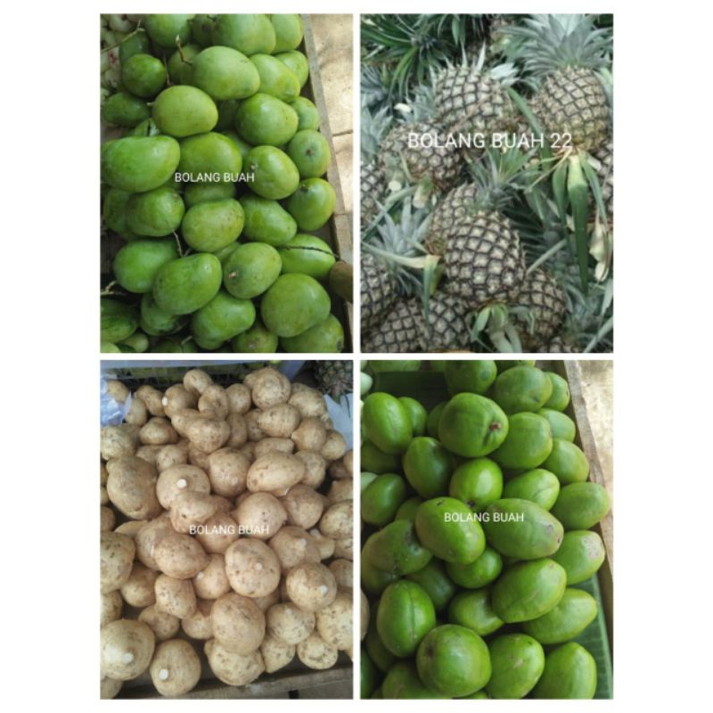 

bahan rujakan asinan isi 1kg