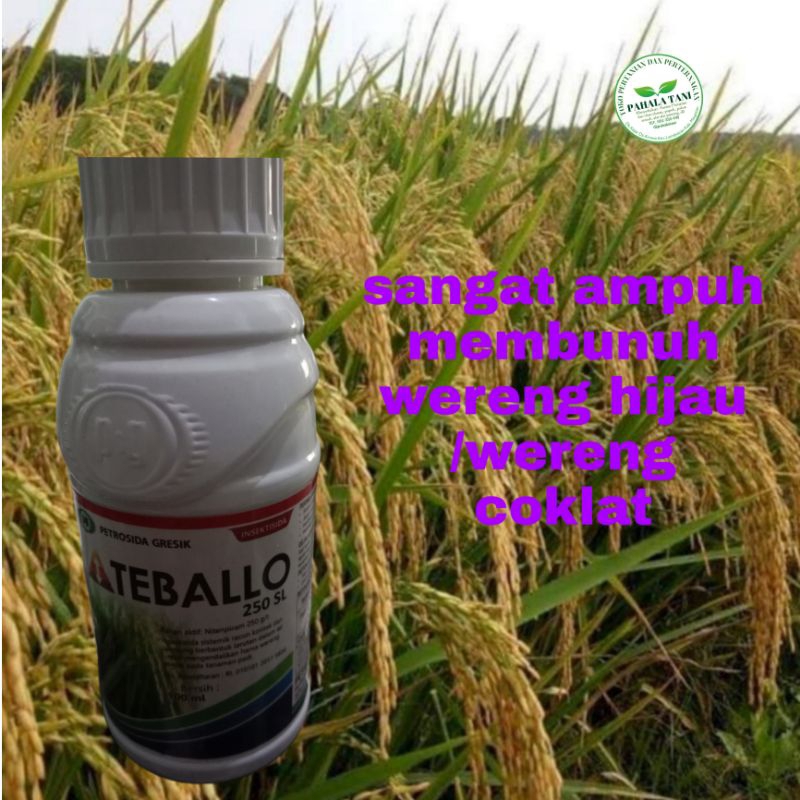 TEBALLO 250SL/hama wereng/wereng coklat/wereng hijau/kutu daun/hama trip/belalang/hama ulat