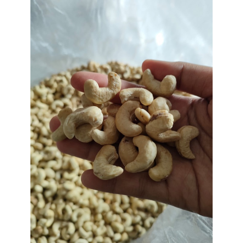 

KACANG MEDE GROSIR