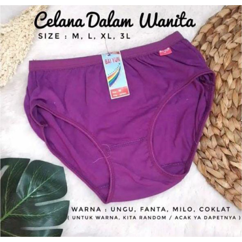 CELANA DALAM WANITA LUSINAN / CELANA DALAM WANITA LUSINAN MURAH / PAKET HEMAT 1 LUSIN CD WANITA BAIYUN-4