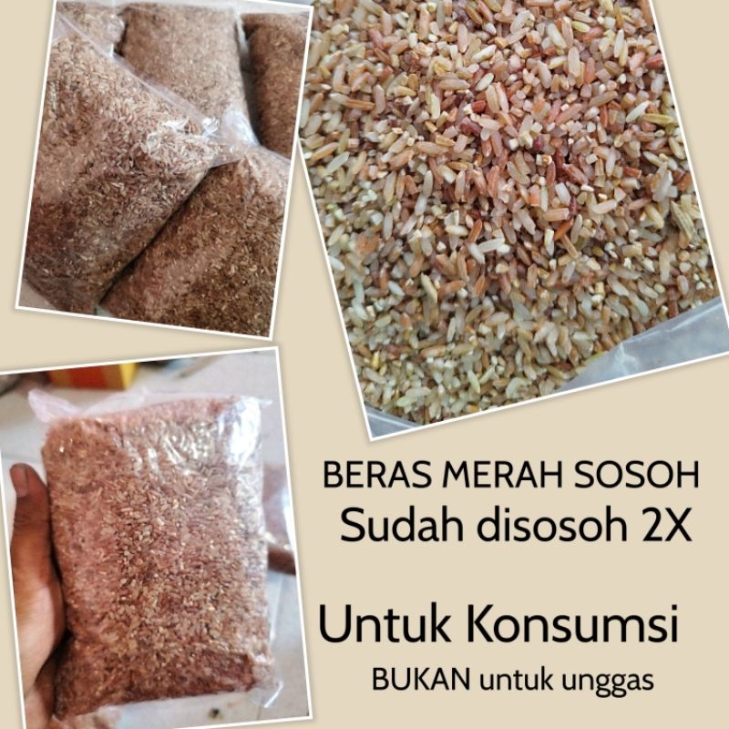 

Beras merah sosoh 2× untuk konsumsi bukan untuk ternak