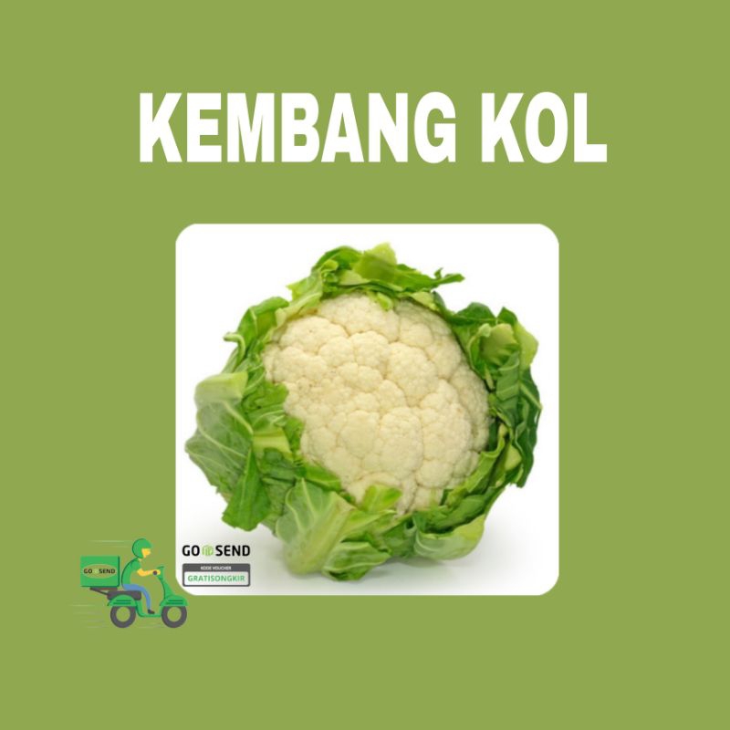 

KEMBANG KOL MURAH FRES BANDUNG