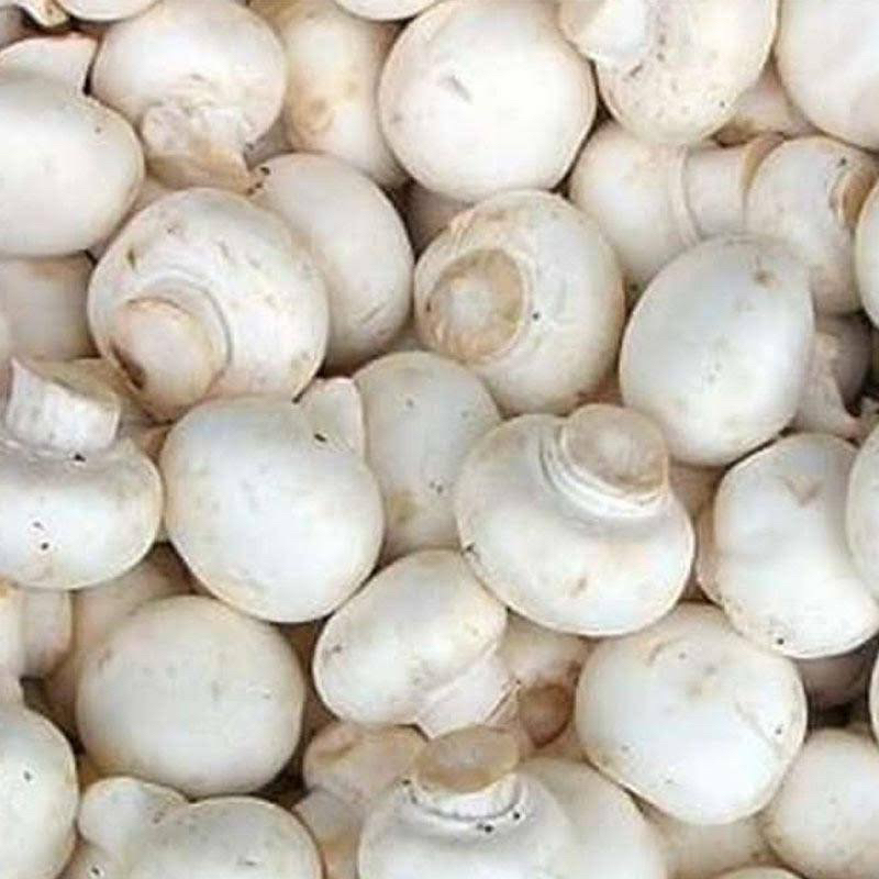 

Jamur Kancing / Jamur Champignon 1kg