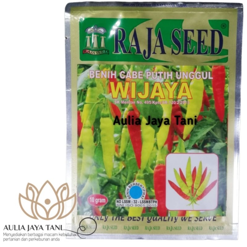 Benih Cabe Putih Unggul Cababi Rawit WIJAYA 10 Gram Raja Seed