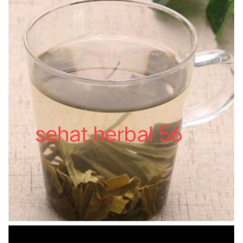 10 gram Obat Herbal Ginkgo Leaf Super Ginkgo Biloba Ginko