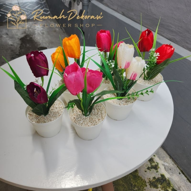 Bunga Tulips (2 kuntum) + Pot