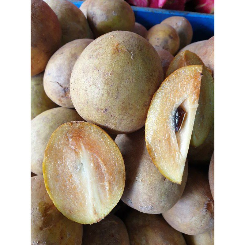 

Ready Oktober Buah Sawo 1kg