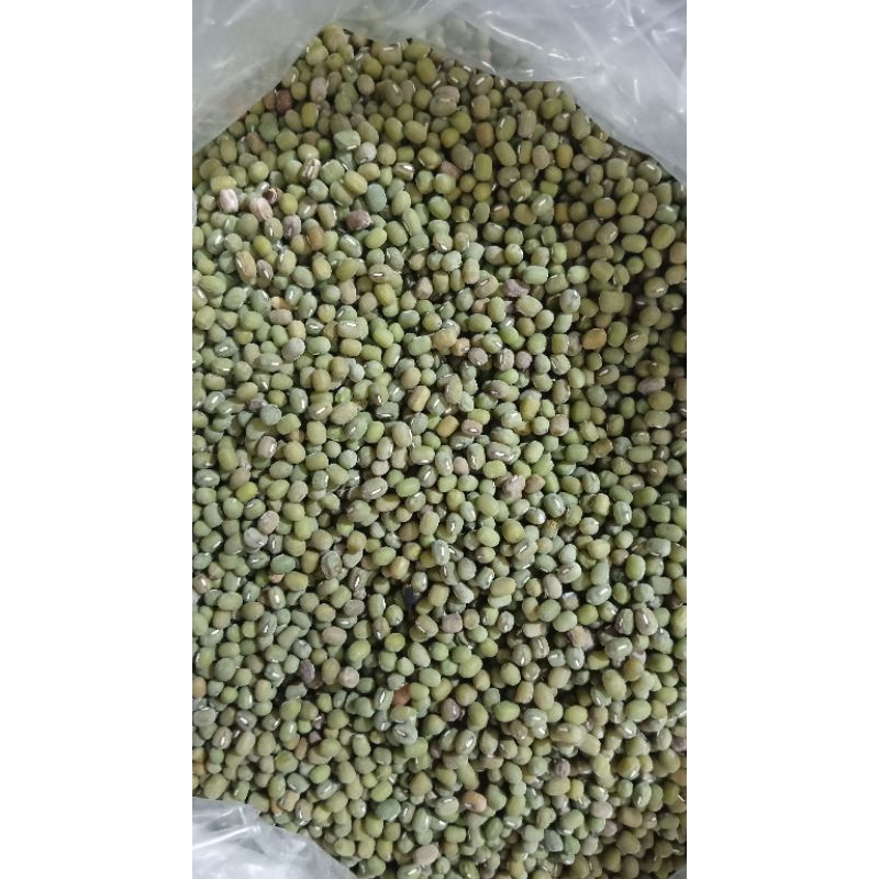 

Kacang Hijau/Kacang Ijo Super Kemasan 1 kg