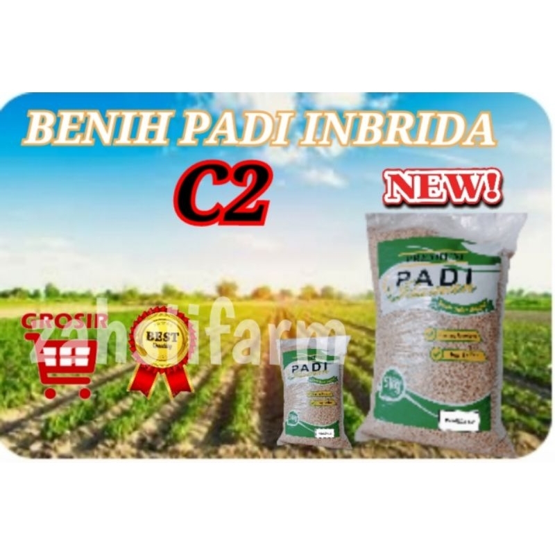 BENIH PADI INBRIDA C2 5KG TERBARU