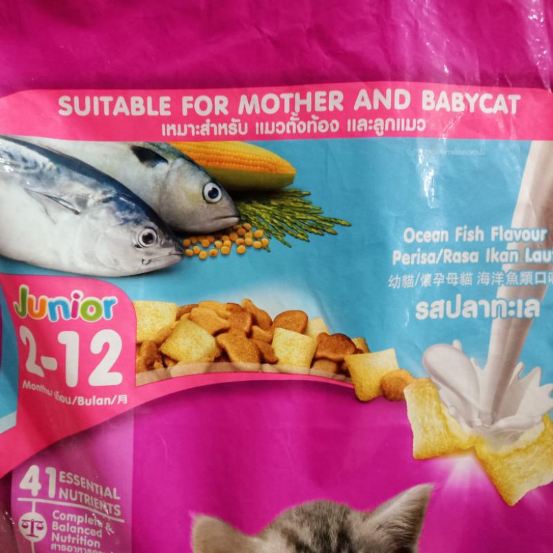 Whiskas Junior Ocean Fish 6,5kg (Ekspedisi) makanan kucing anakan junior whiskas