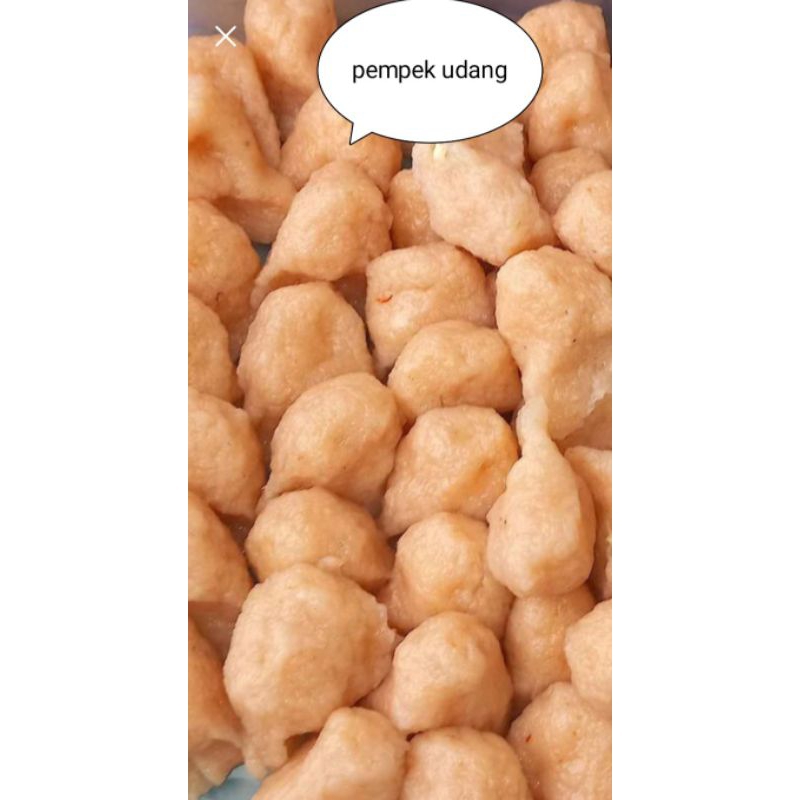 

pempek udang sungsang