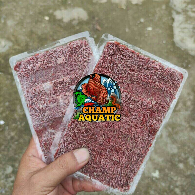 CACING BEKU TRAY / CACING BEKU TRAY 100GR / CACING BEKU BERSIH / CACING BEKU MURAH