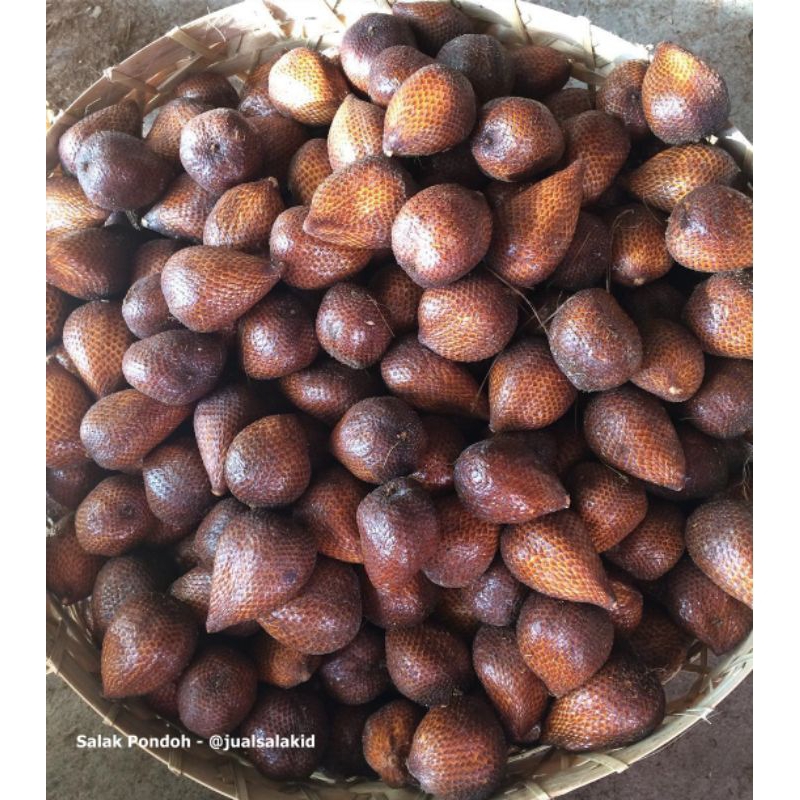 

PAKET HEMAT Salak Pondoh kecil Manis 3KG (REGULER & KARGO)