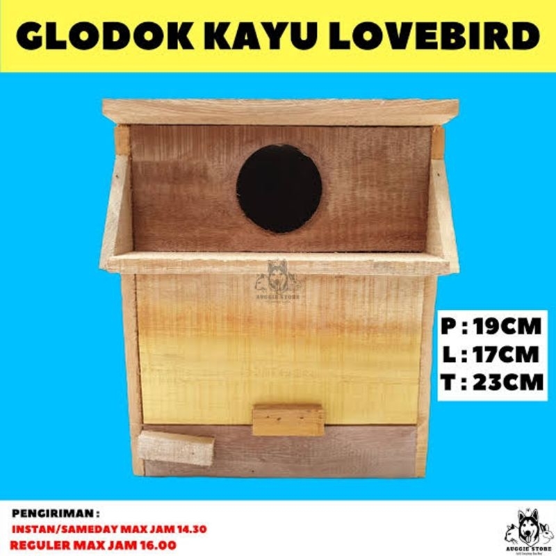 glodok kayu love bird