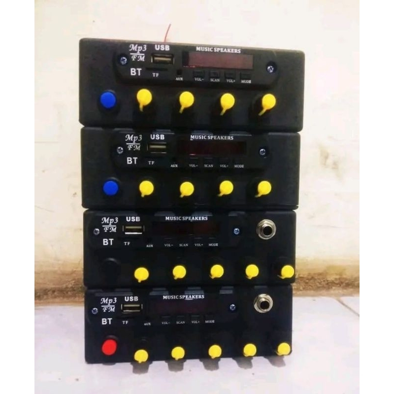 Power Amplifier Class D 12V Subwofer