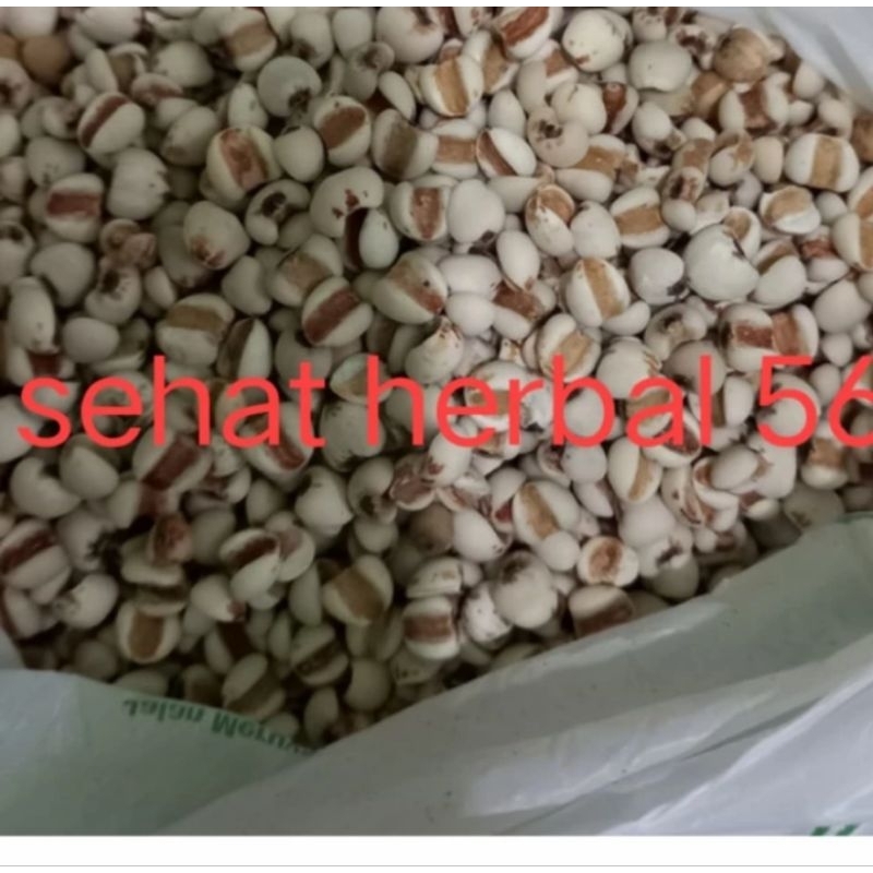 Barley super / biji jali jali 1kg
