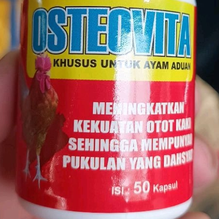 Obat Ayam Osteovita Vitamin Ayam Aduan Ayam Bangkok