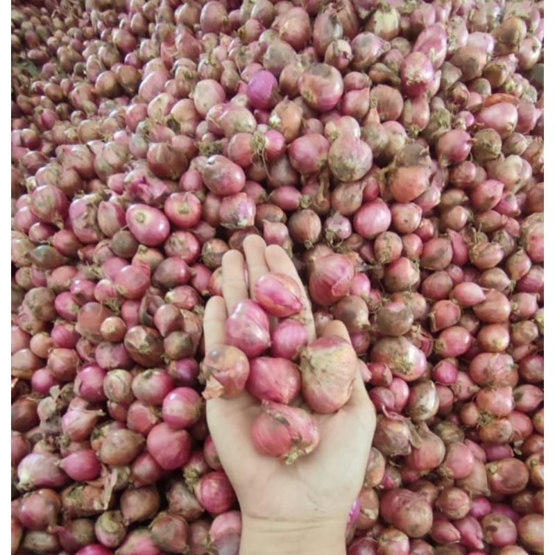 

bawang merah curah tulungagung 250gram