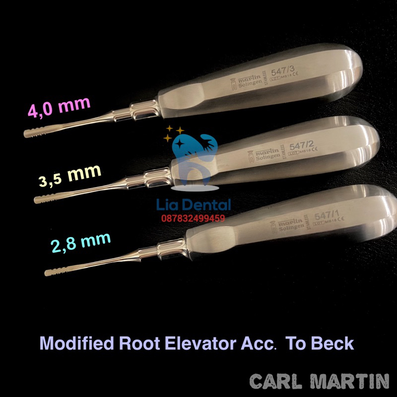 Wurzelheber Root Elevator 547 Set Carl Martin