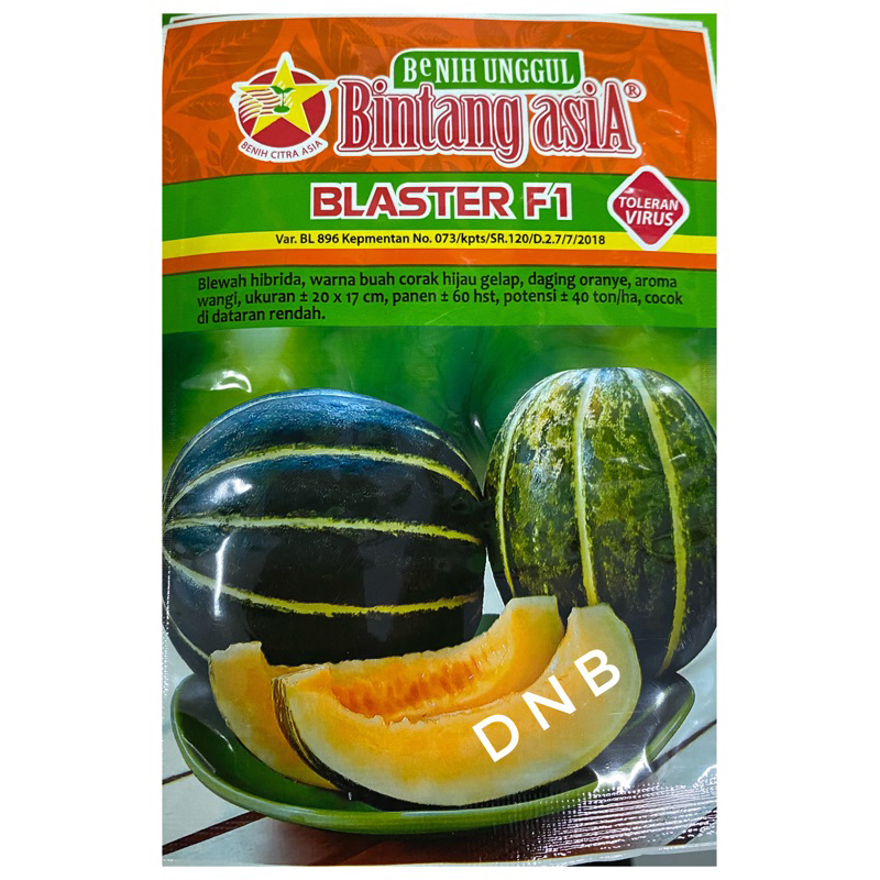 Benih Blewah BLASTER F1 15 gr BINTANG ASIA