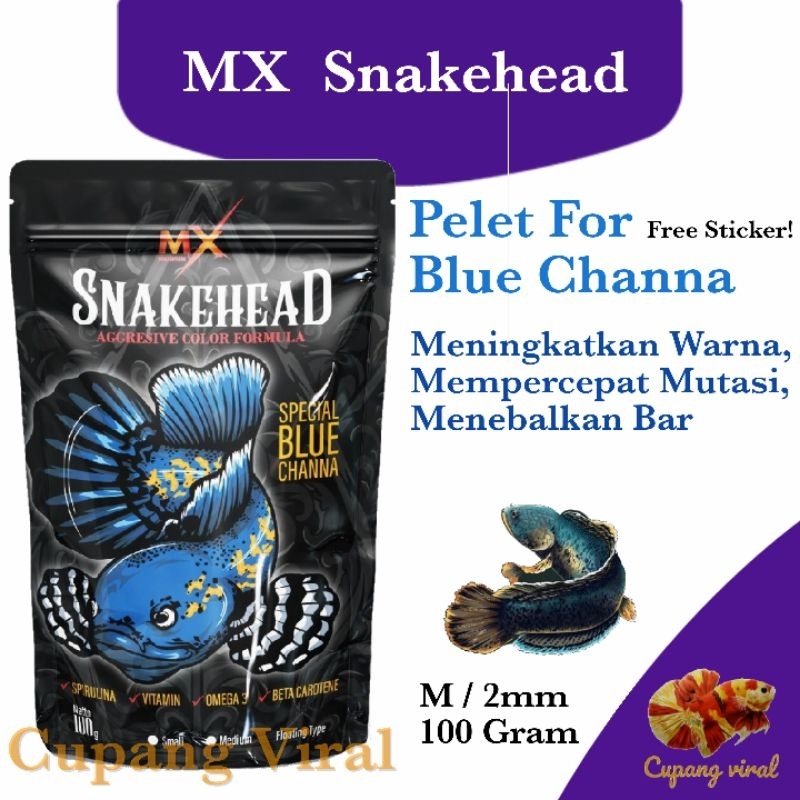 MX - SNAKEHEAD Special BLUE Channa Color Booster dan Bar 100 Gram