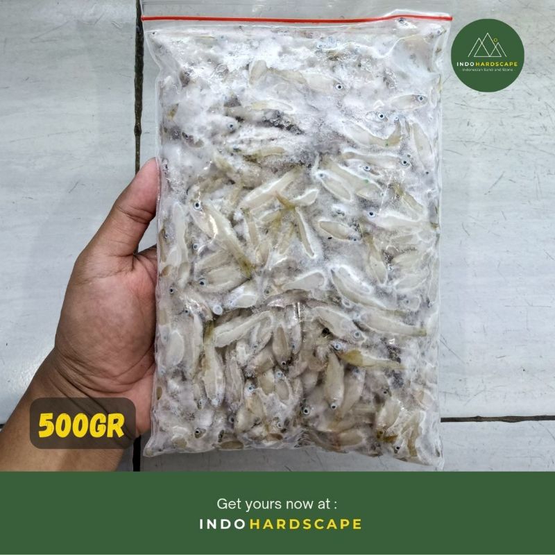 500GR IKAN WADER LAUT BEKU FROZEN