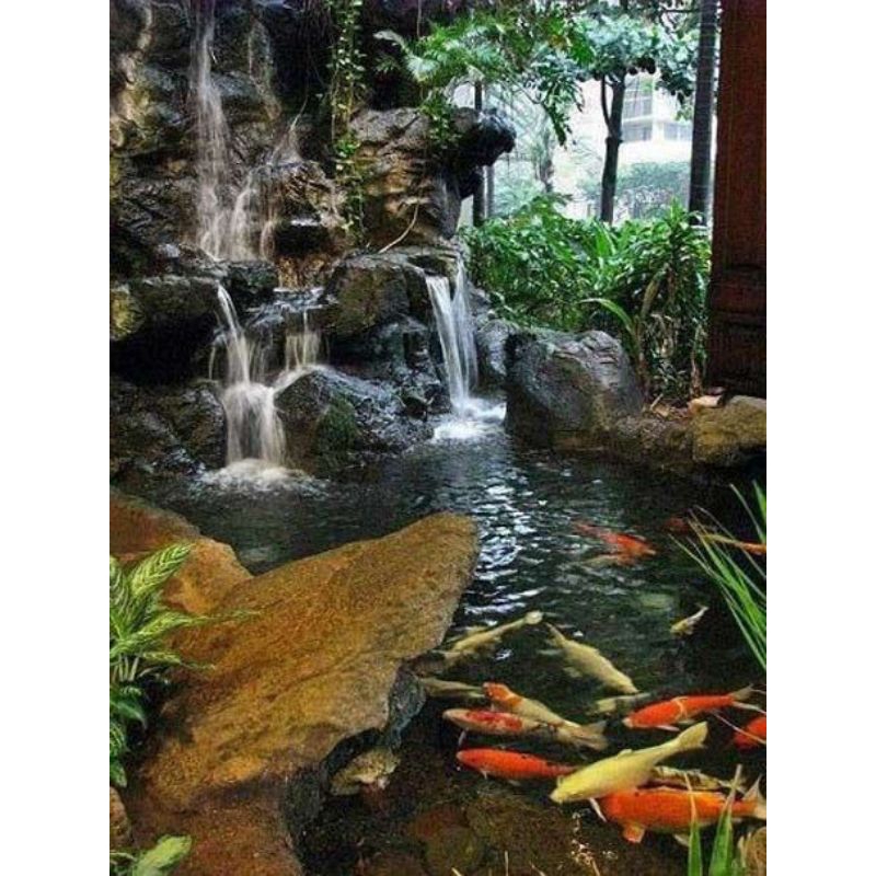 lukisan cetak  kolam ikan koi plus bingkai uk 85x55