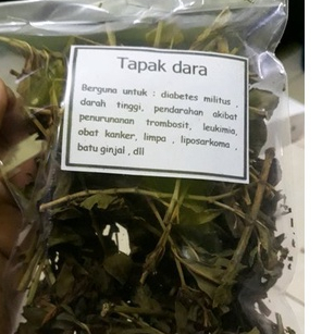 

TERBAIK DAUN TAPAK DARA KERING HERBAL 1 KG