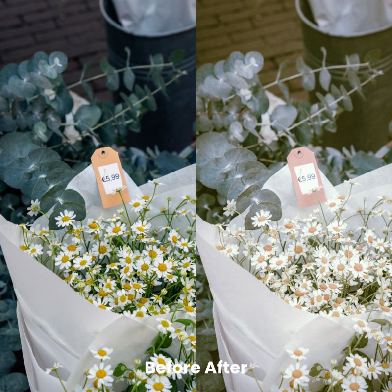 ANALOG FILM PRESET LIGHTROOM (iOS &amp; ANDROID)