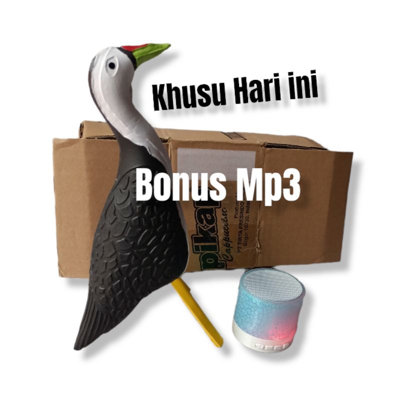 PROMO  PATUNG RUAK RUAK KAREO / PEMIKAT BURUNG KAREO BONUS MP3