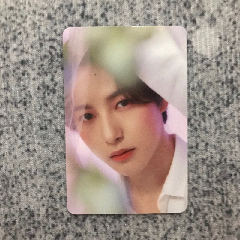 Pc Renjun Candylab V4