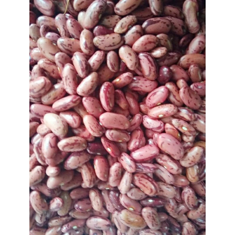 Kacang merah kering 1kg
