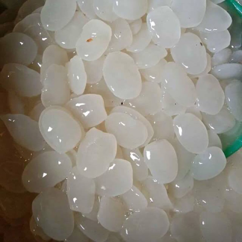 

KOLANG KALING 500 GRAM