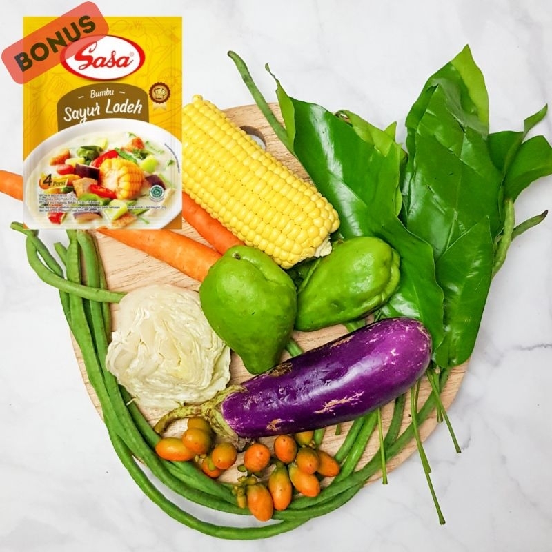 KIRIM INSTAN Paketan Sayur Lodeh 500gr BONUS Sasa Sayur Lodeh dan Santan