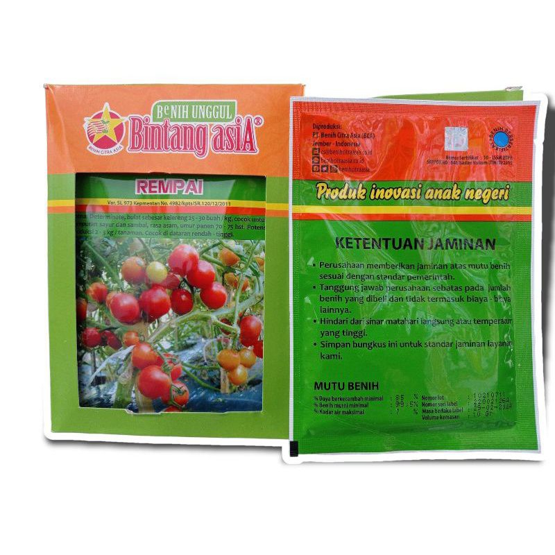 Benih Tomat Rampai / Rempai 10Gram - Cap Bintang Asia